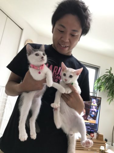 no title