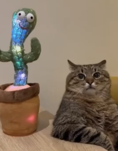 no title