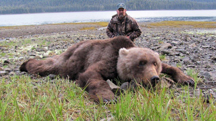 動物界最強のアラスカヒグマさんに勝つにはライオン何匹必要か どうぶつちゃんねる