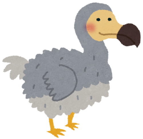kodai_dodo.png